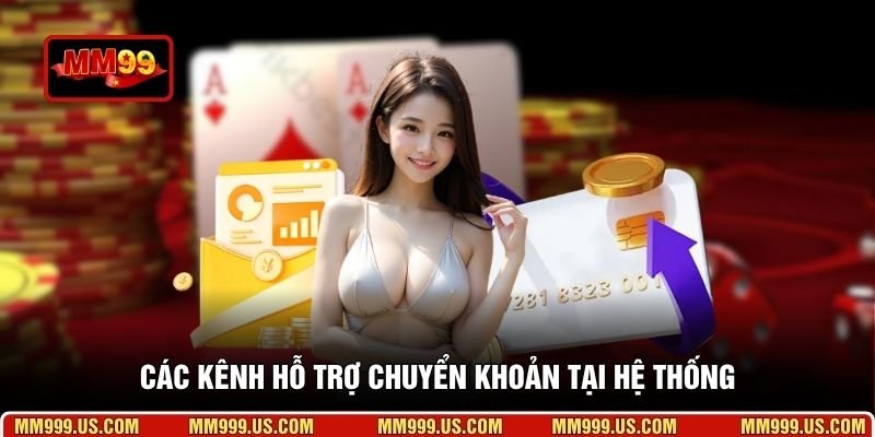 Các kênh hỗ trợ chuyển khoản tại hệ thống