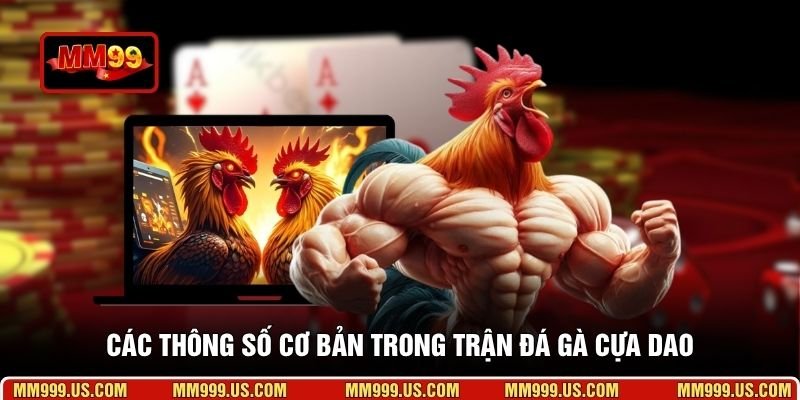 Các thông số cơ bản trong trận đá gà cựa dao