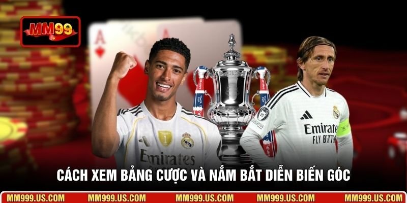Cách xem bảng cược và nắm bắt diễn biến góc