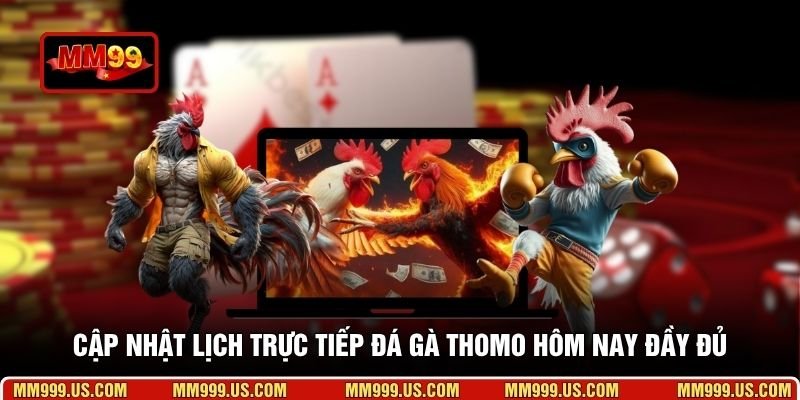 Cập nhật lịch trực tiếp đá gà Thomo hôm nay đầy đủ