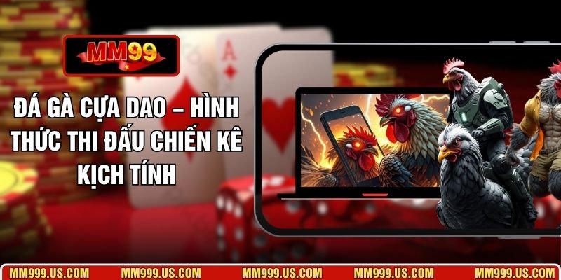 Đá Gà Cựa Dao – Hình Thức Thi Đấu Chiến Kê Kịch Tính