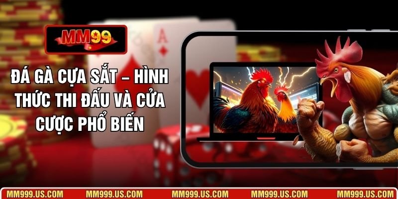Đá Gà Cựa Sắt – Hình Thức Thi Đấu Và Cửa Cược Phổ Biến