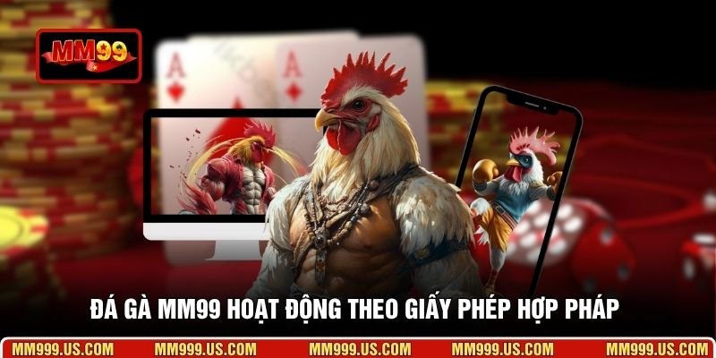 Đá gà MM99 hoạt động theo giấy phép hợp pháp 
