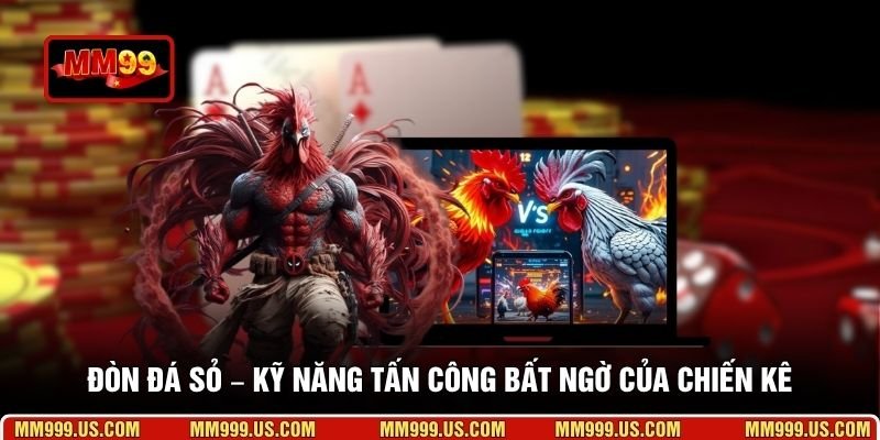 Đòn đá sỏ – Kỹ năng tấn công bất ngờ của chiến kê