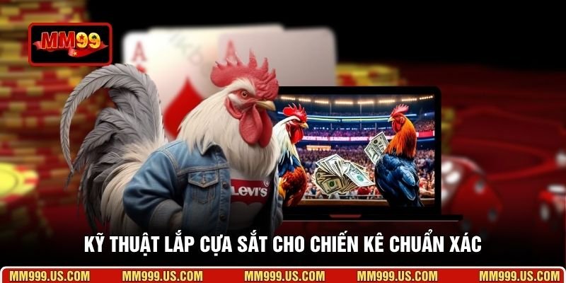 Kỹ thuật lắp cựa sắt cho chiến kê chuẩn xác