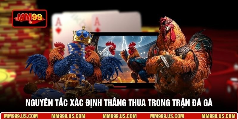 Nguyên tắc xác định thắng thua trong trận đá gà