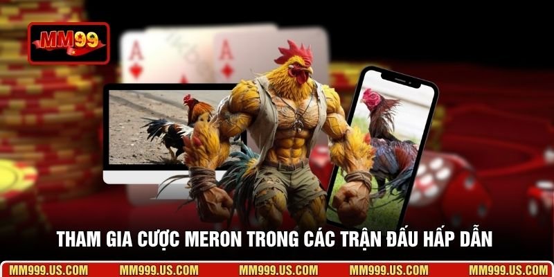 Tham gia cược Meron trong các trận đấu hấp dẫn 