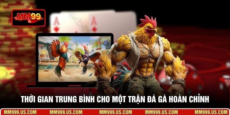 Thời gian trung bình cho một trận đá gà hoàn chỉnh