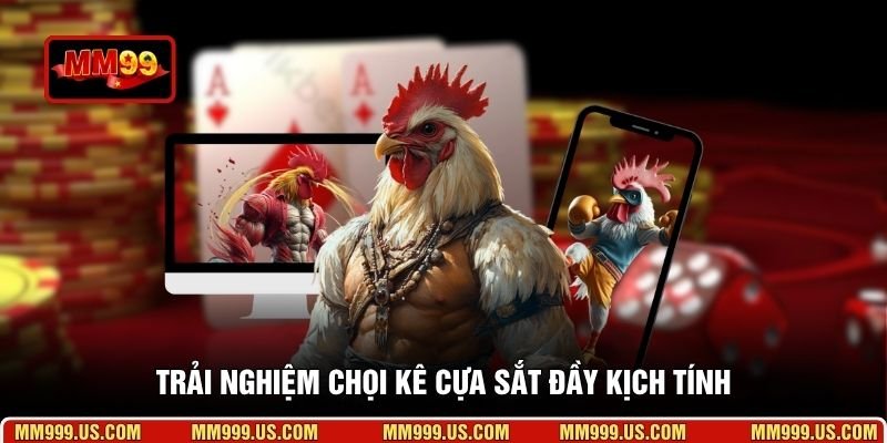 Trải nghiệm chọi kê cựa sắt đầy kịch tính