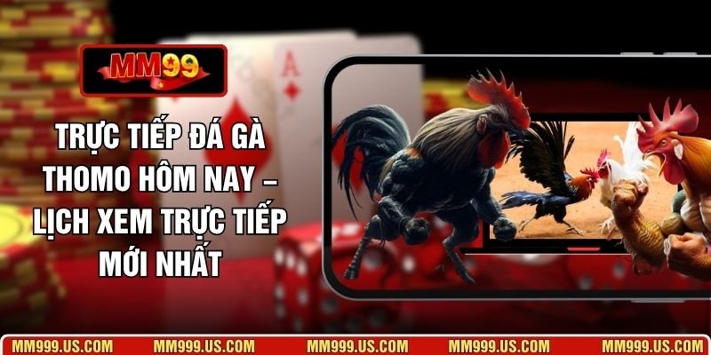 Trực Tiếp Đá Gà Thomo Hôm Nay – Lịch Xem Trực Tiếp Mới Nhất